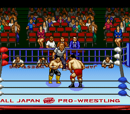 Zen-Nihon Pro Wrestling 2 - 3-4 Budoukan