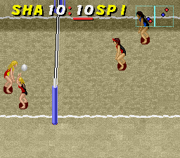 Dig & Spike Volleyball