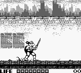 Teenage Mutant Ninja Turtles (Japan)