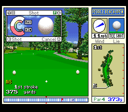 Pebble Beach Golf Links (USA)